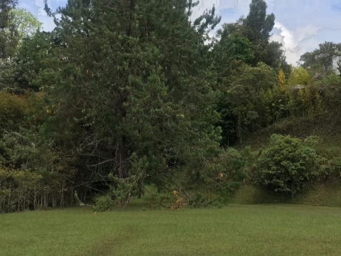Lote en venta en Llano Grande, Rionegro, 3758 m² · foto 9 de 19