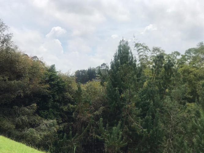 Lote en venta en Llano Grande, Rionegro, 3758 m² · foto 10 de 19