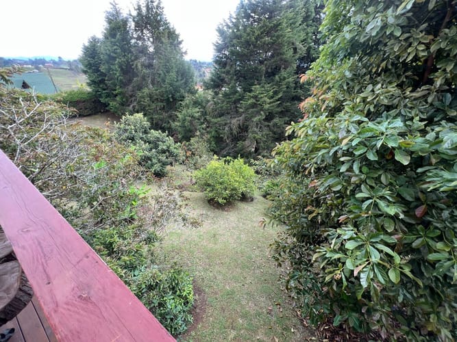 Finca en venta en La Laja, Rionegro, 2360 m² · foto 16 de 20