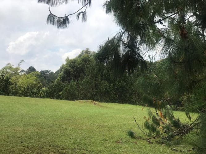 Lote en venta en Llano Grande, Rionegro, 3758 m² · foto 11 de 19