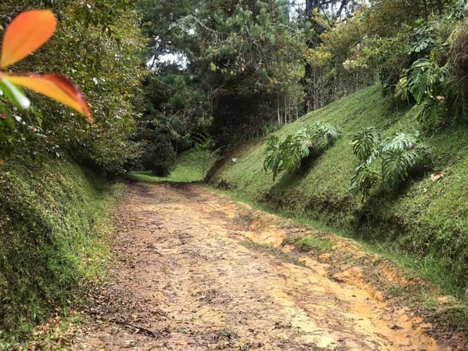 Lote en venta en Llano Grande, Rionegro, 3758 m² · foto 13 de 19