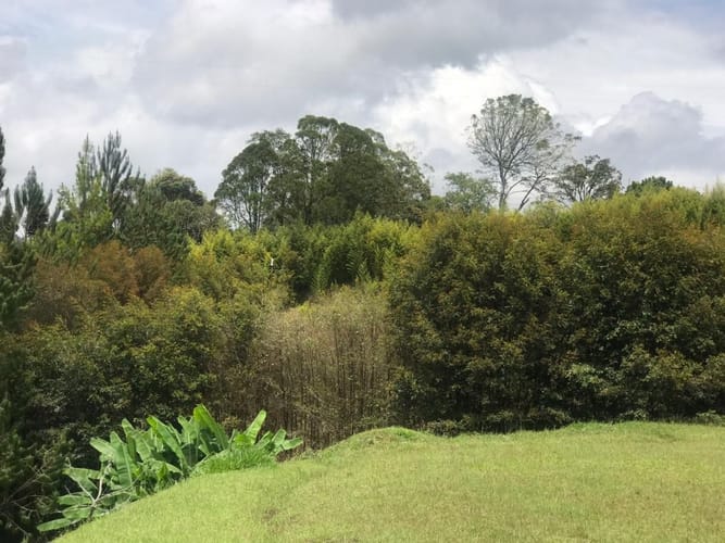 Lote en venta en Llano Grande, Rionegro, 3758 m² · foto 14 de 19