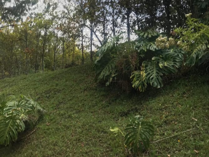 Lote en venta en Llano Grande, Rionegro, 3758 m² · foto 15 de 19
