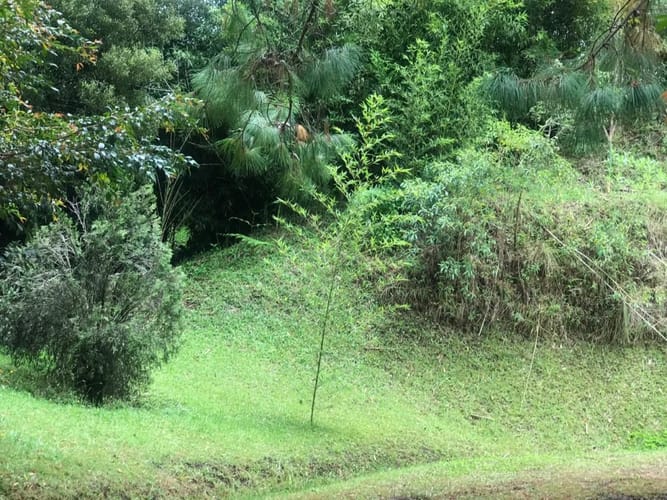Lote en venta en Llano Grande, Rionegro, 3758 m² · foto 18 de 19