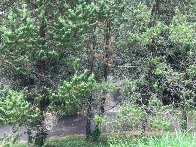 Lote en venta en Llano Grande, Rionegro, 3758 m² · foto 19 de 19