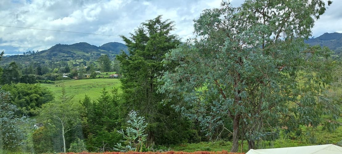 Finca en venta en El Chuscal, El Retiro, 6000 m² · foto 8 de 24