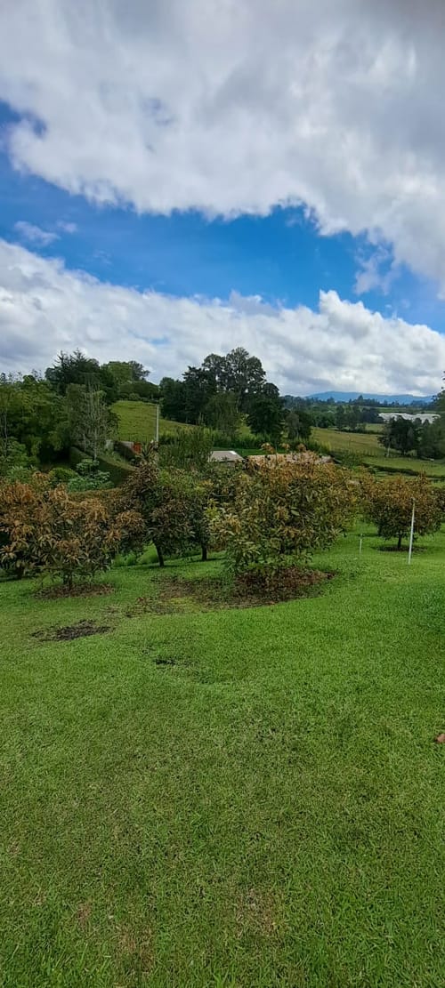 Finca en venta en El Chuscal, El Retiro, 6000 m² · foto 14 de 24