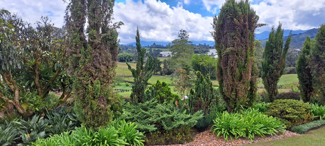 Finca en venta en El Chuscal, El Retiro, 6000 m² · foto 15 de 24