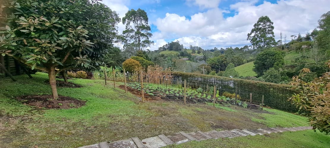 Finca en venta en El Chuscal, El Retiro, 6000 m² · foto 16 de 24