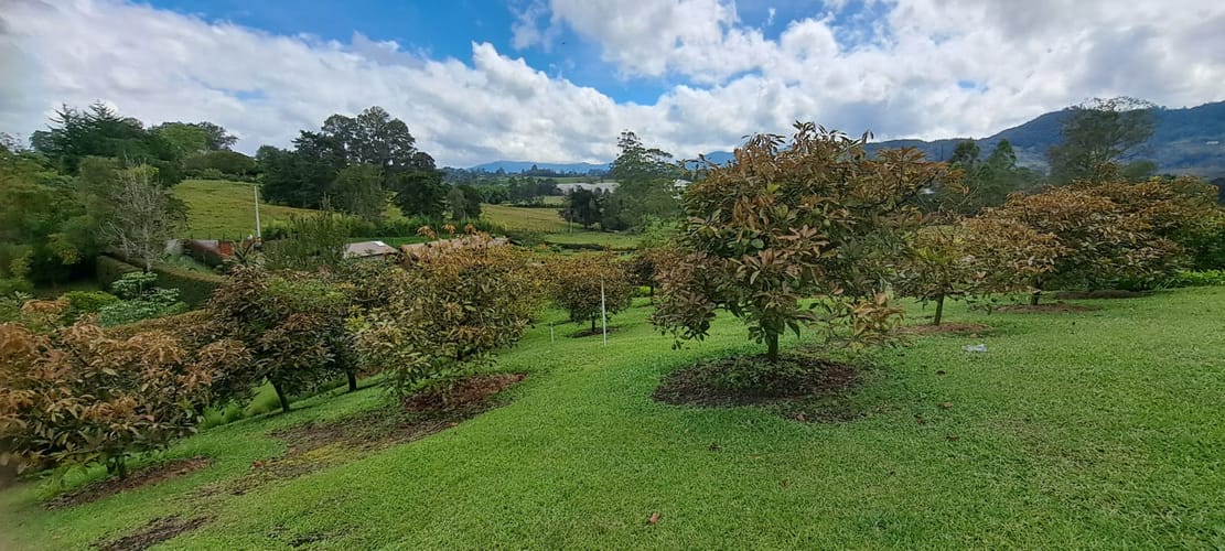 Finca en venta en El Chuscal, El Retiro, 6000 m² · foto 20 de 24