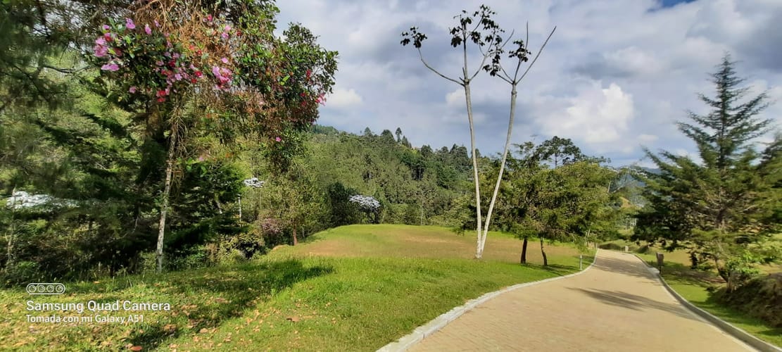 Lote en venta en Puente Pelaez, El Retiro, 5887 m² · foto 8 de 11