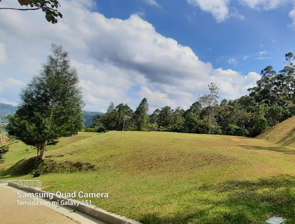 Land in Santa Elena for Sale - 2