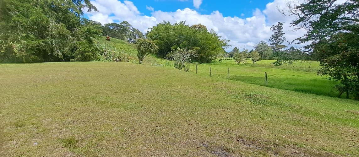 Lote en venta en Llano Grande, Rionegro, 3000 m² · foto 2 de 5