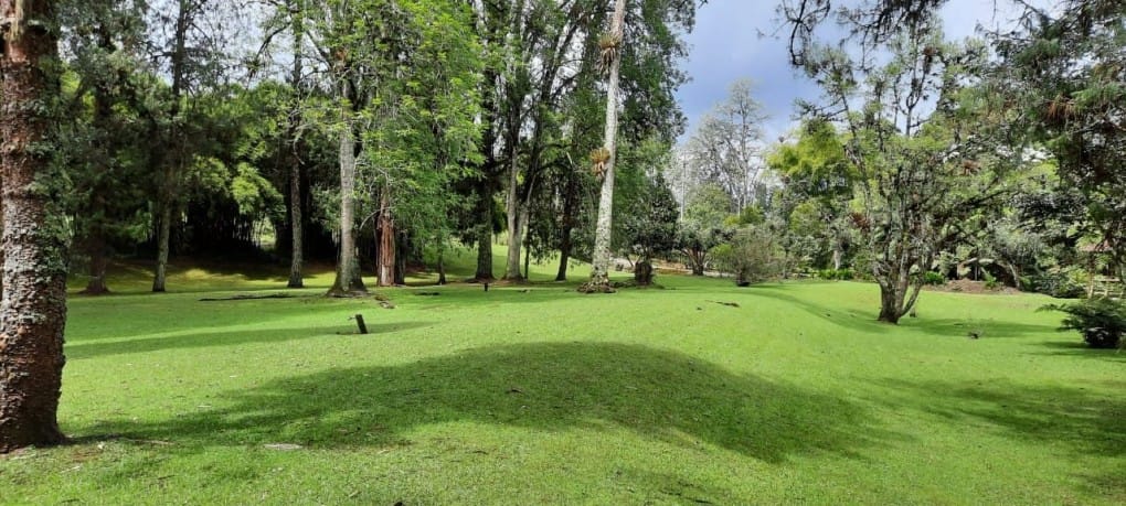 Casa de 3 alcobas en venta en Los Salados, El Retiro · foto 11 de 18