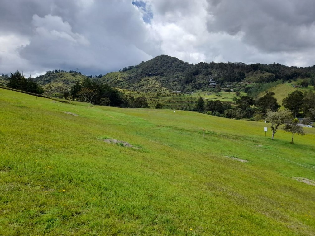 Land in El Portento (1672 m²) for Sale