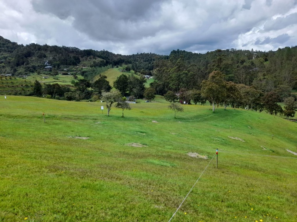 Land in El Portento (1672 m²) for Sale - 2
