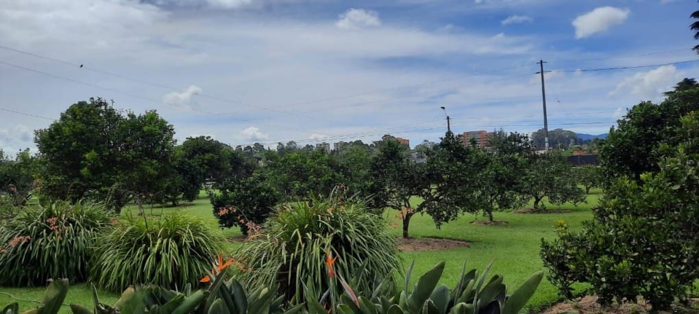 Lote en venta en Llano Grande, Rionegro, 53400 m² · foto 4 de 19