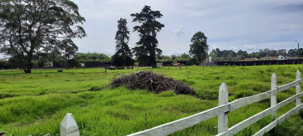 Lote en venta en Llano Grande, Rionegro, 53400 m² · foto 5 de 19