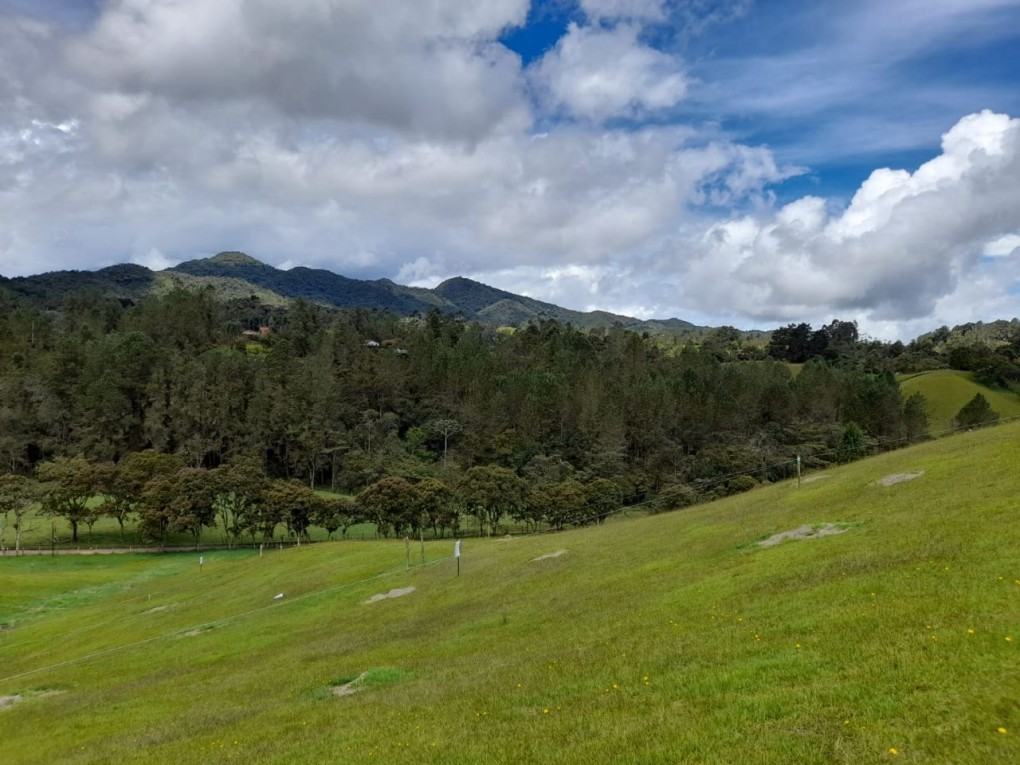 Land in El Portento (1672 m²) for Sale - 3