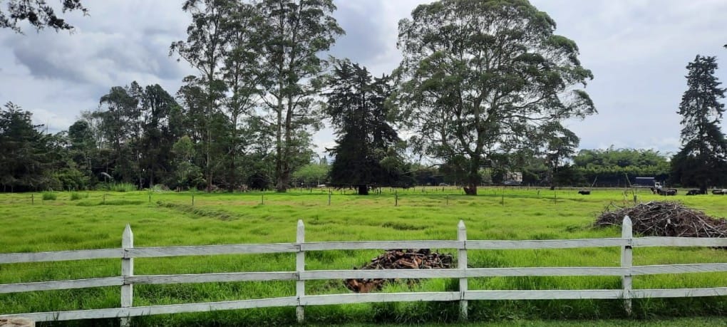 Lote en venta en Llano Grande, Rionegro, 53400 m² · foto 6 de 19
