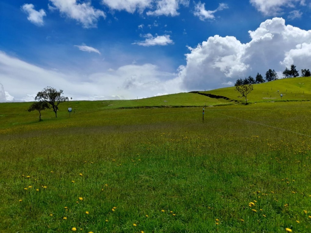 Land in El Portento (1672 m²) for Sale - 4