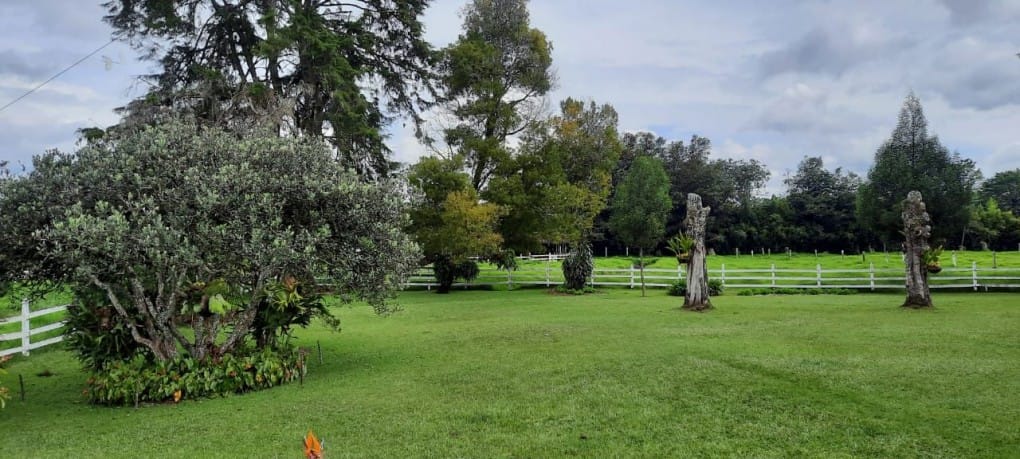 Lote en venta en Llano Grande, Rionegro, 53400 m² · foto 7 de 19