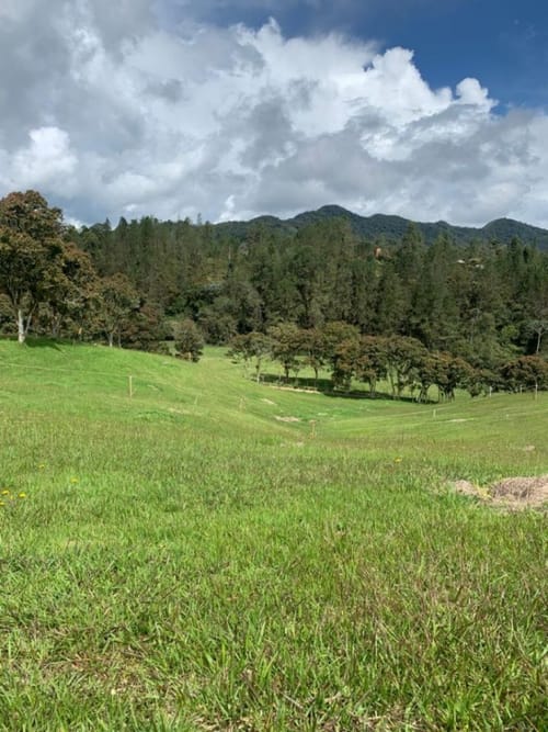 Lote en venta en Pantanillo, El Retiro, 1672 m² · foto 6 de 11