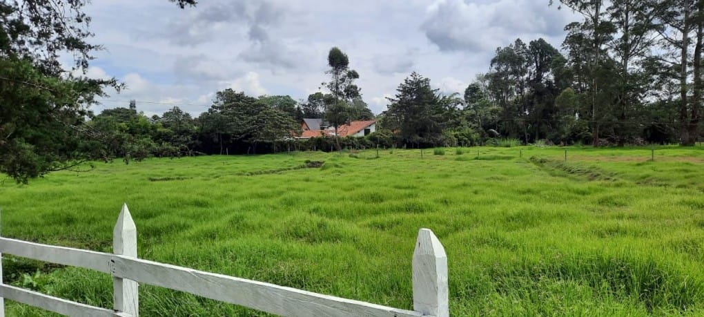 Lote en venta en Llano Grande, Rionegro, 53400 m² · foto 9 de 19