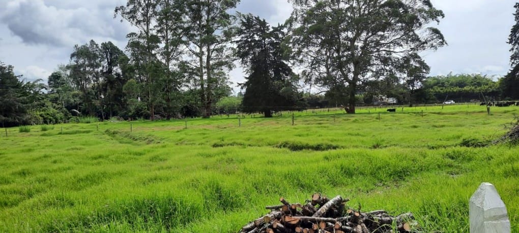 Lote en venta en Llano Grande, Rionegro, 53400 m² · foto 11 de 19
