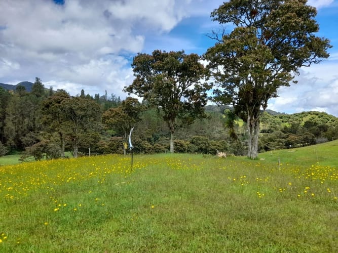 Lote en venta en Pantanillo, El Retiro, 1672 m² · foto 9 de 11