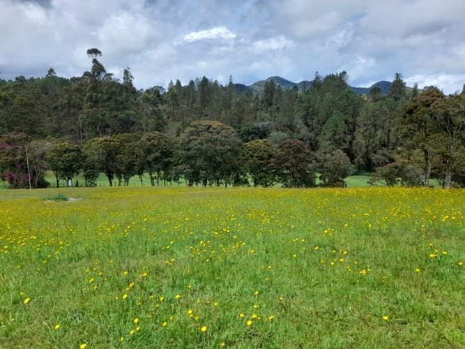 Lote en venta en Pantanillo, El Retiro, 1672 m² · foto 10 de 11