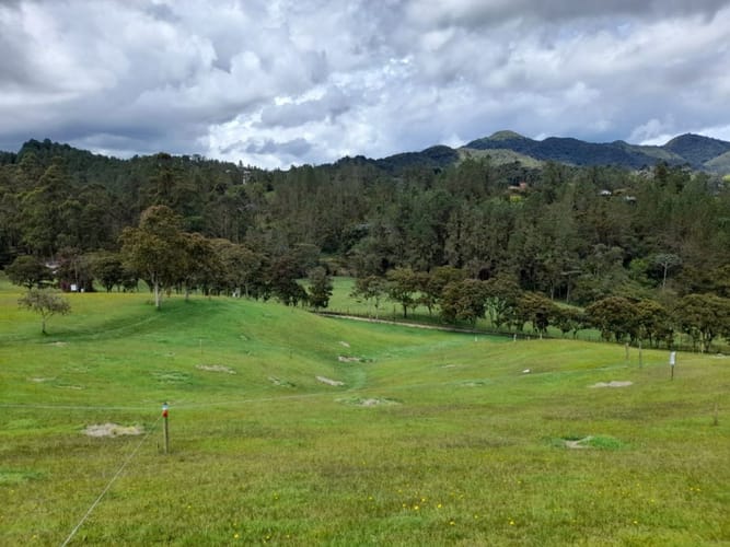 Lote en venta en Pantanillo, El Retiro, 1672 m² · foto 11 de 11