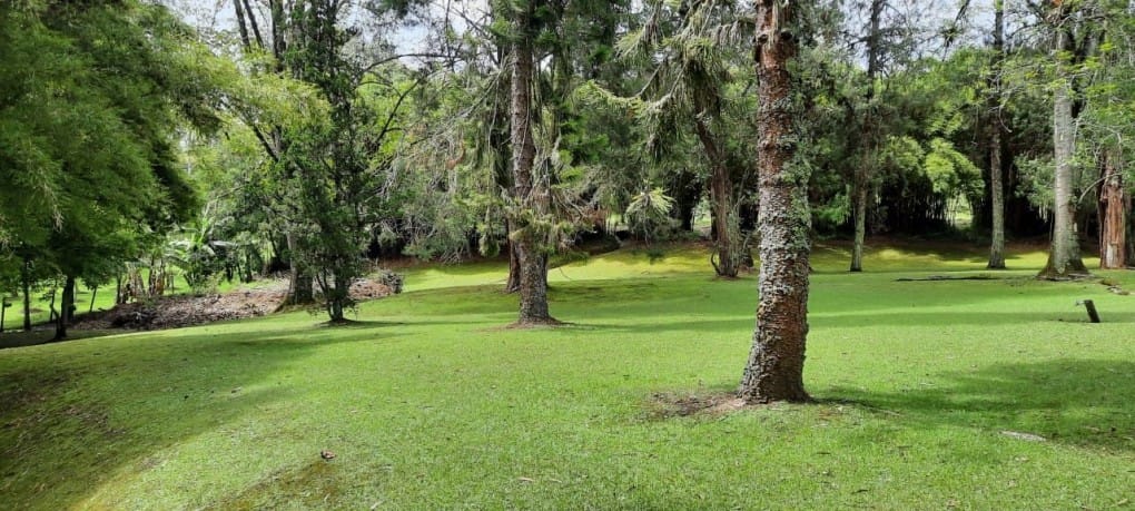 Lote en venta en Llano Grande, Rionegro, 53400 m² · foto 14 de 19