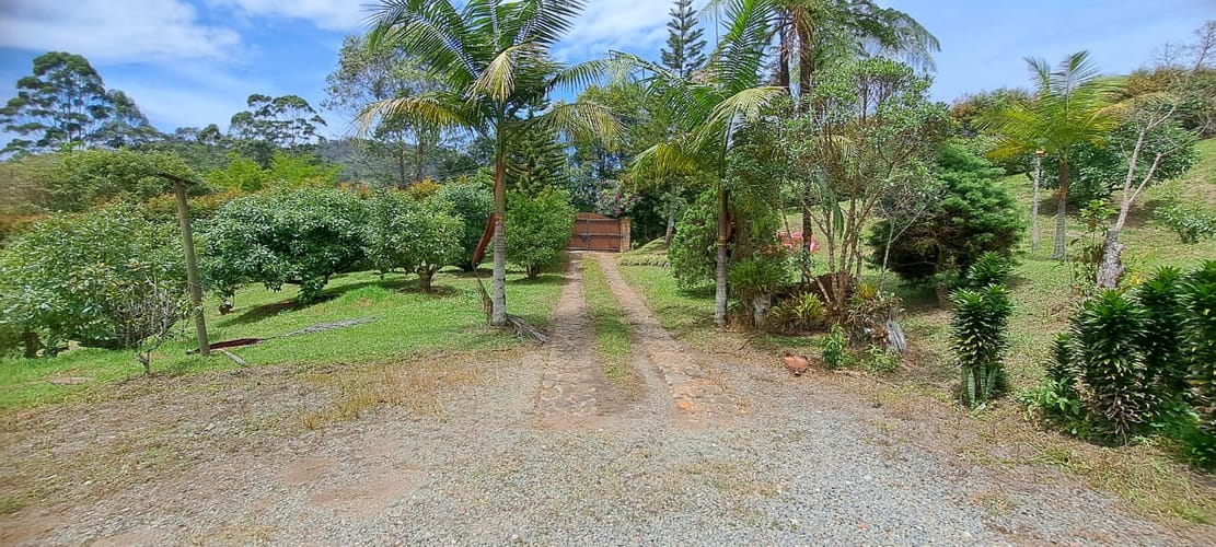 Finca en venta en Pontezuela, Rionegro, 7500 m² · foto 5 de 19