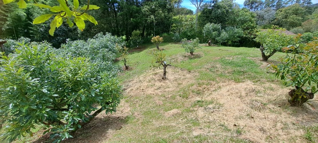 Finca en venta en Pontezuela, Rionegro, 7500 m² · foto 6 de 19