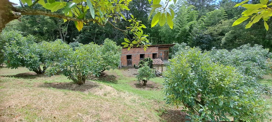 Finca en venta en Pontezuela, Rionegro, 7500 m² · foto 7 de 19