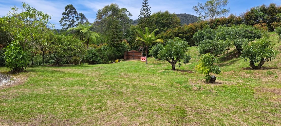 Finca en venta en Pontezuela, Rionegro, 7500 m² · foto 10 de 19