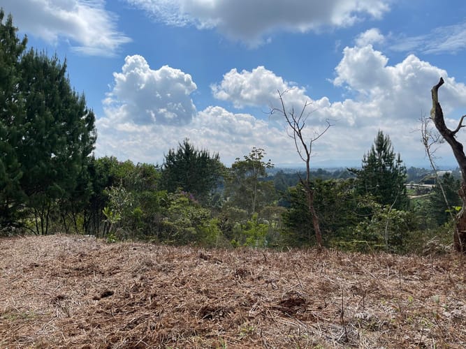 Lote en venta en Aeropuerto, Rionegro, 5500 m² · foto 6 de 18