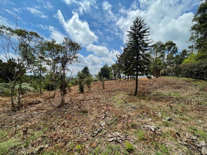 Lote en venta en Aeropuerto, Rionegro, 5500 m² · foto 8 de 18