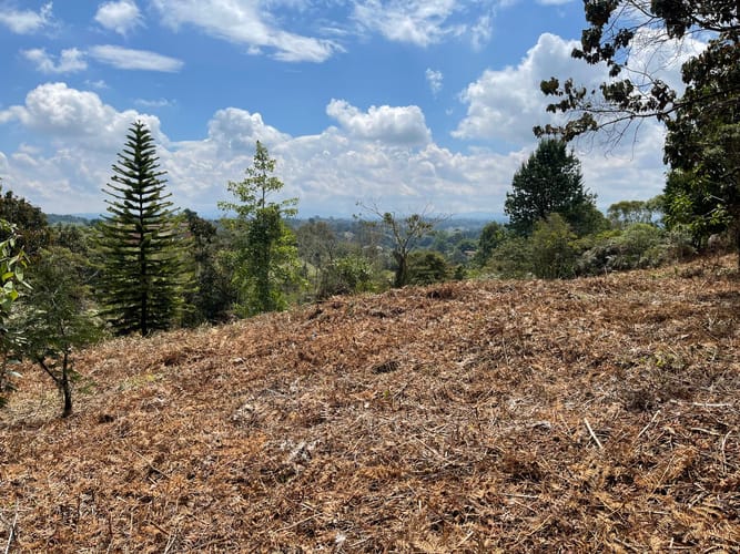 Lote en venta en Aeropuerto, Rionegro, 5500 m² · foto 9 de 18