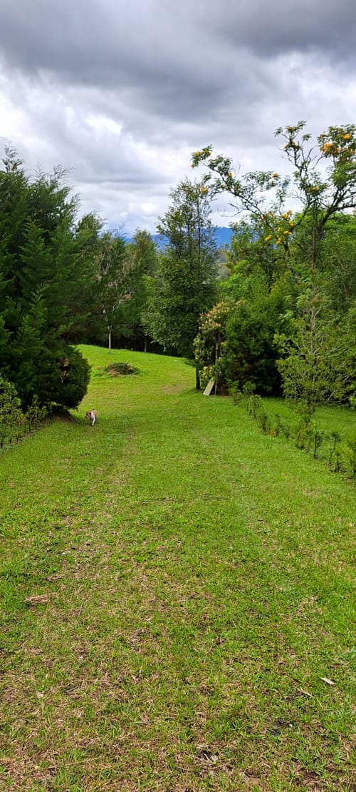 Lote en venta en El Carmen de Viboral, 2958 m² · foto 4 de 17