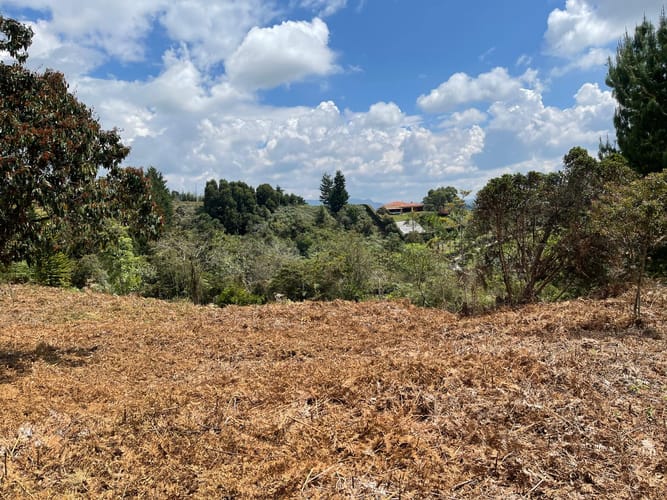 Lote en venta en Aeropuerto, Rionegro, 5500 m² · foto 10 de 18