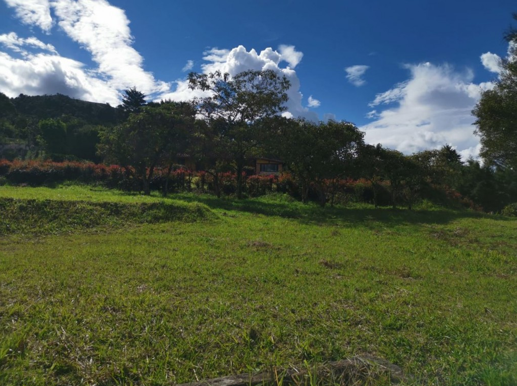 Bilde 2 av eiendommen som annonseres i Medellín