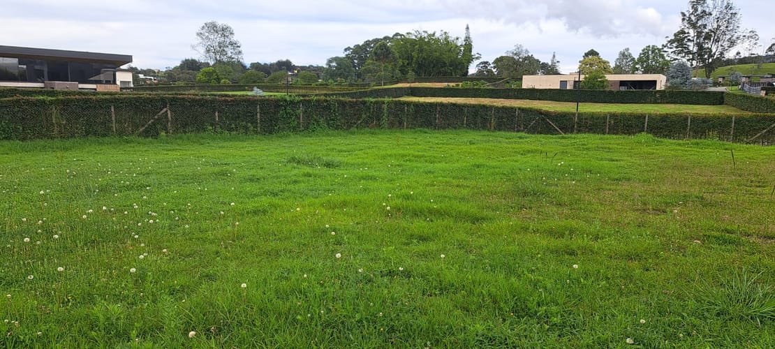 Lote en venta en El Carmen de Viboral, 2958 m² · foto 6 de 17