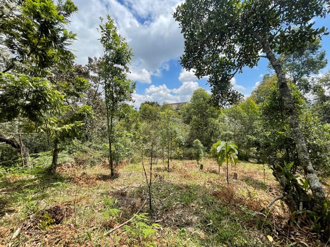 Lote en venta en Aeropuerto, Rionegro, 5500 m² · foto 12 de 18
