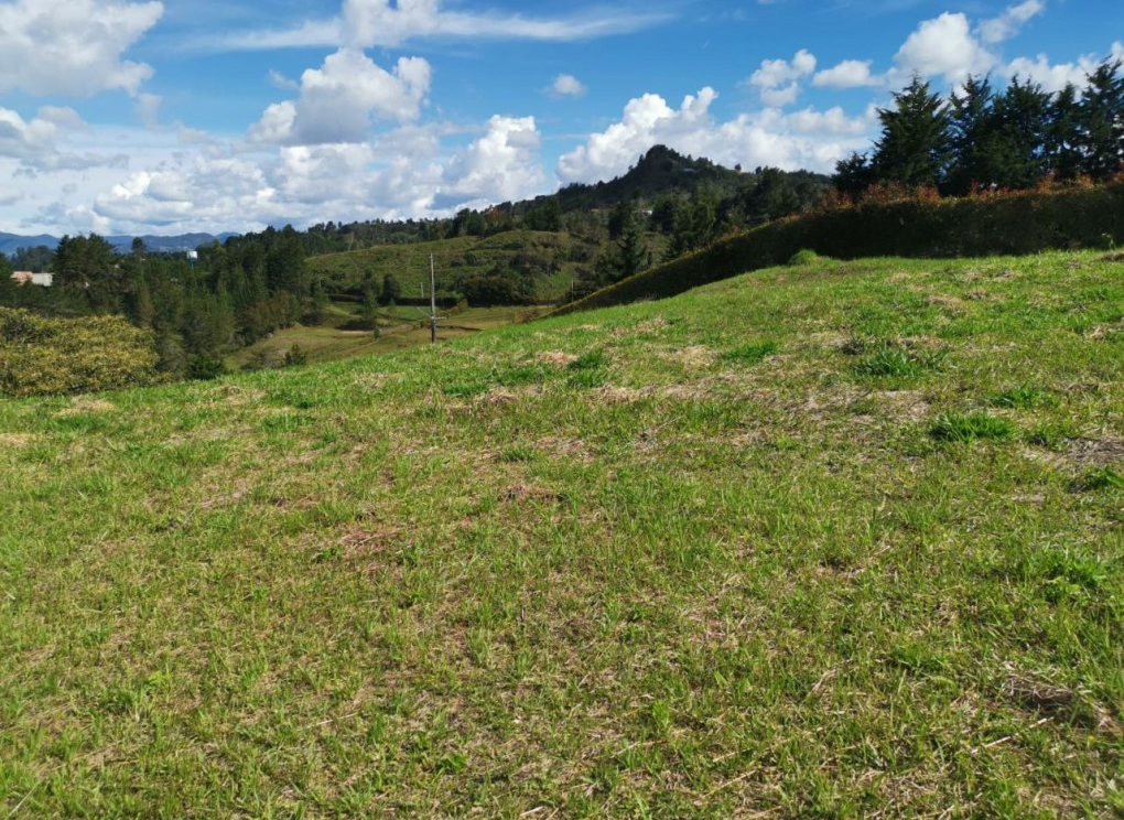 Bilde 3 av eiendommen som annonseres i Medellín