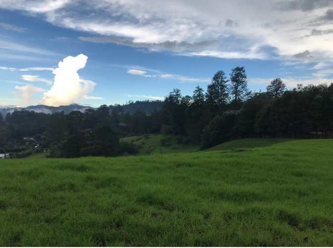 Lote en venta en Los Salados, El Retiro, 9441 m² · foto 3 de 16