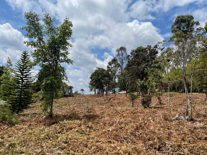 Lote en venta en Aeropuerto, Rionegro, 5500 m² · foto 13 de 18