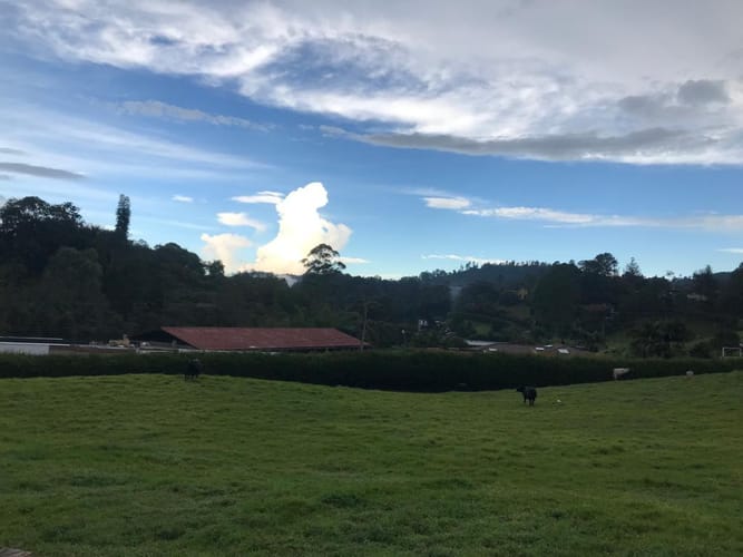 Lote en venta en Los Salados, El Retiro, 9441 m² · foto 5 de 16