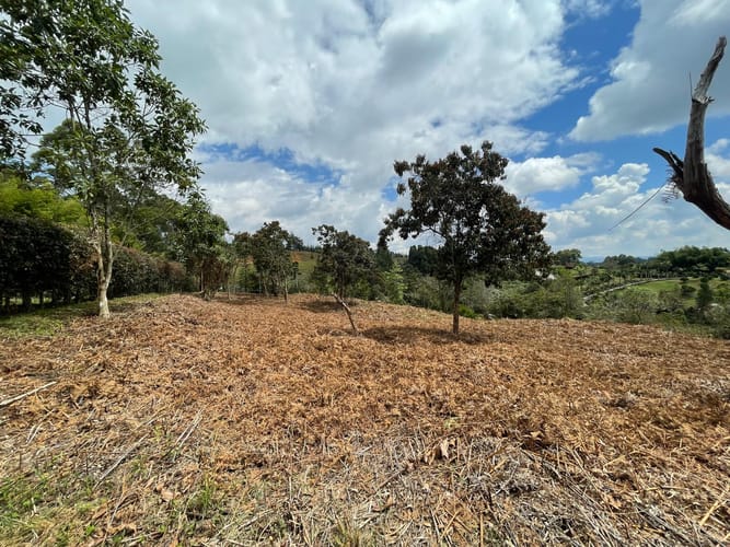 Lote en venta en Aeropuerto, Rionegro, 5500 m² · foto 16 de 18